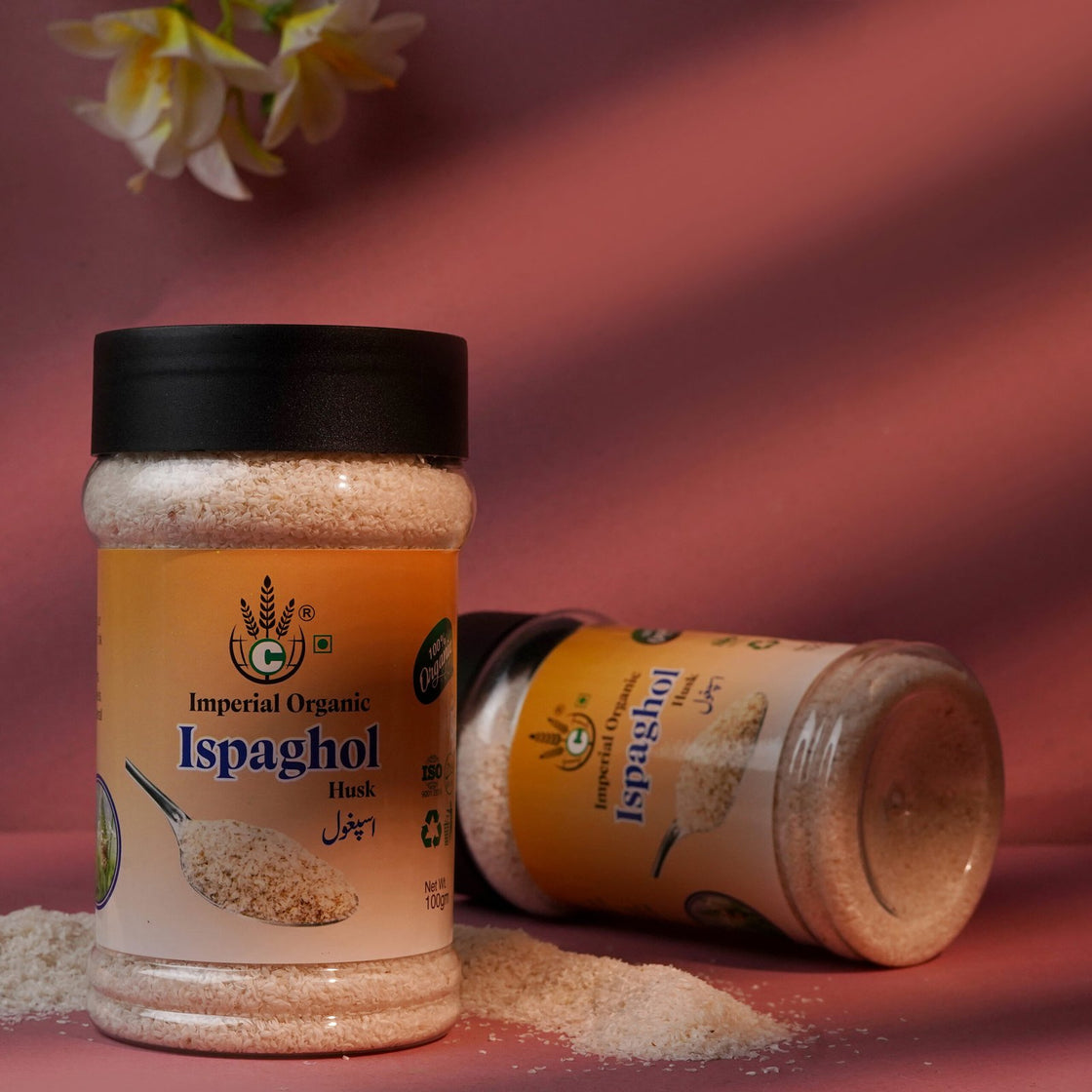 Ispaghol Mota (100g)