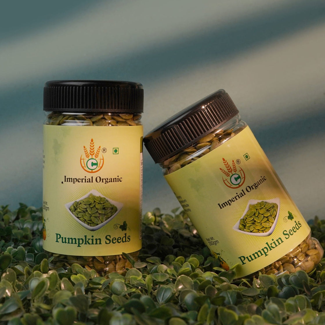 Pumpkin seeds (250g)